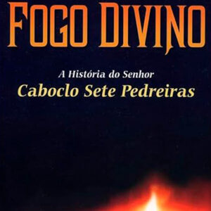 Livro - O Guardião do Fogo Divino